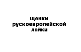 щенки рускоевропейской лайки 